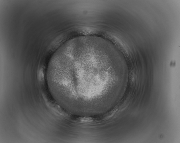 X0000093770214200711061142