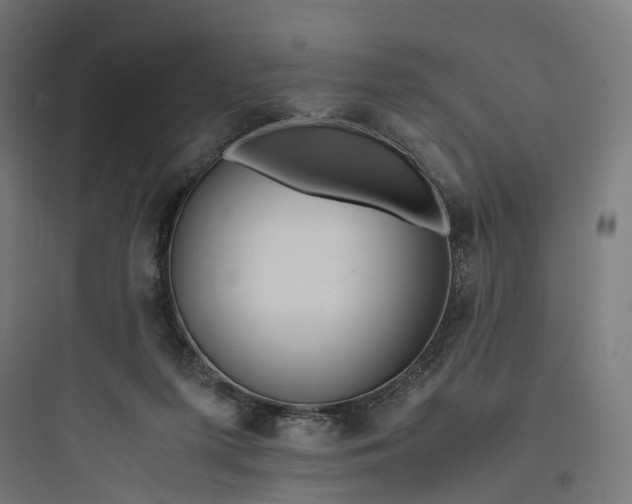 X0000093770215200711061142