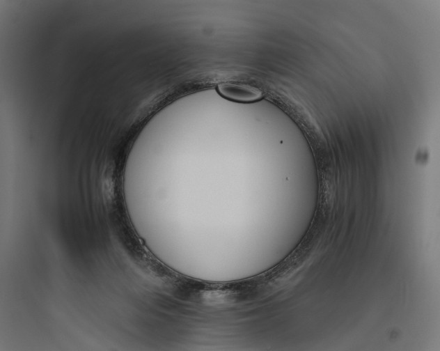 X0000093770216200711061142