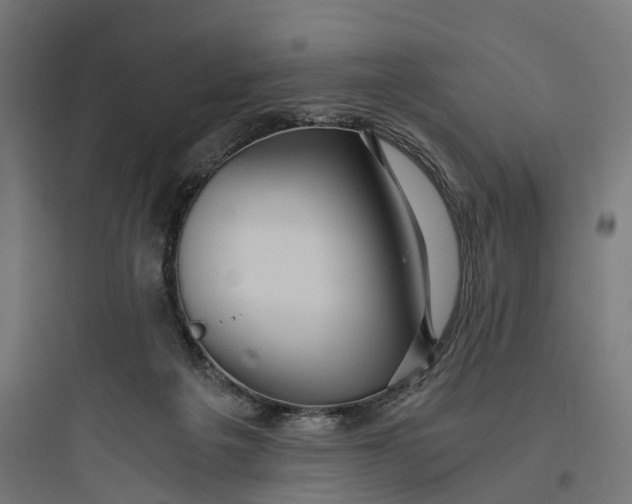 X0000093770217200711061142