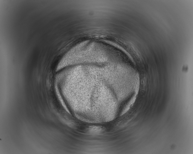 X0000093770218200711061142