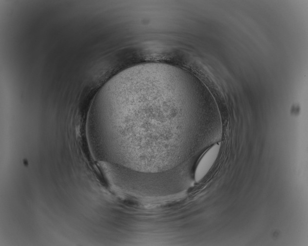 X0000093770219200711061142