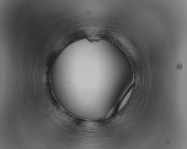 X0000093770221200711061142