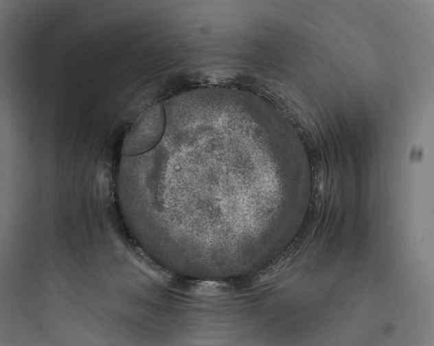 X0000093770222200711061142