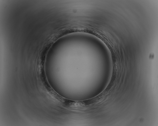 X0000093770223200711061142