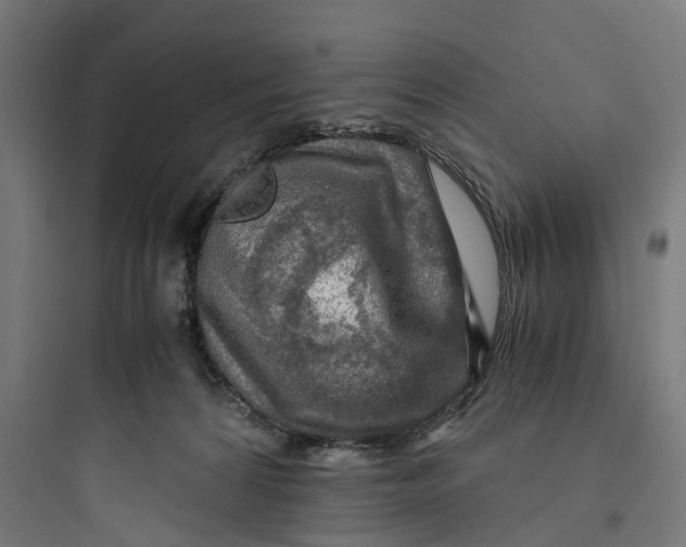 X0000093770224200711061142