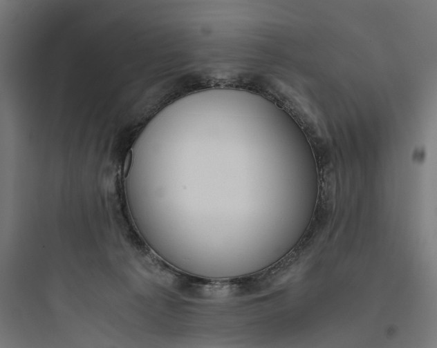 X0000093770225200711061142