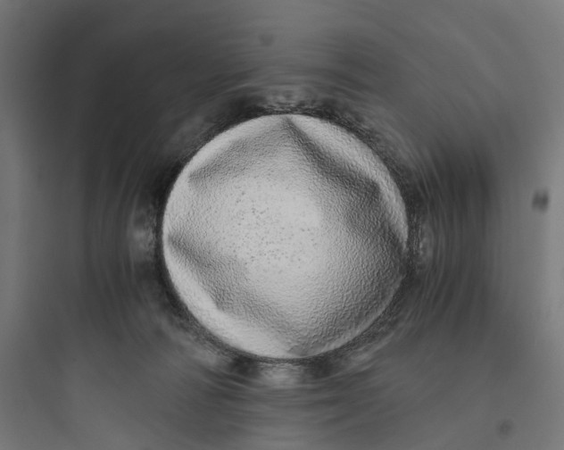 X0000093770226200711061142