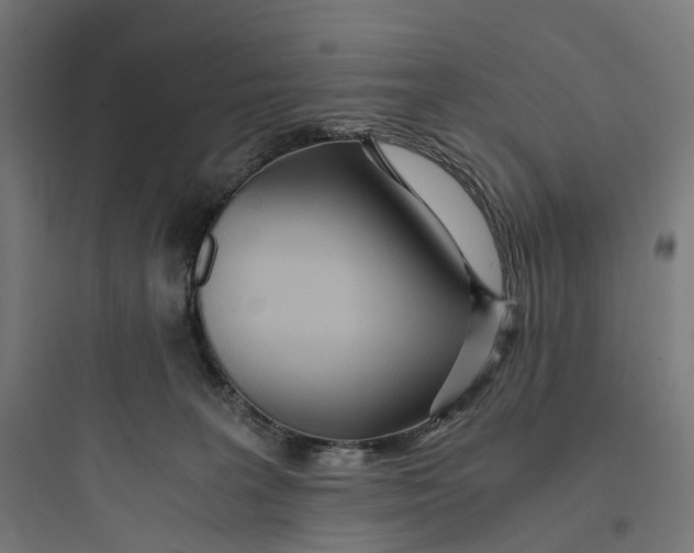 X0000093770227200711061142