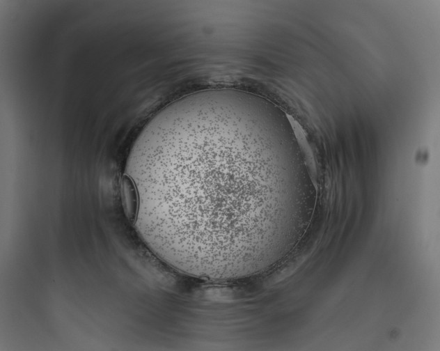 X0000093770228200711061142