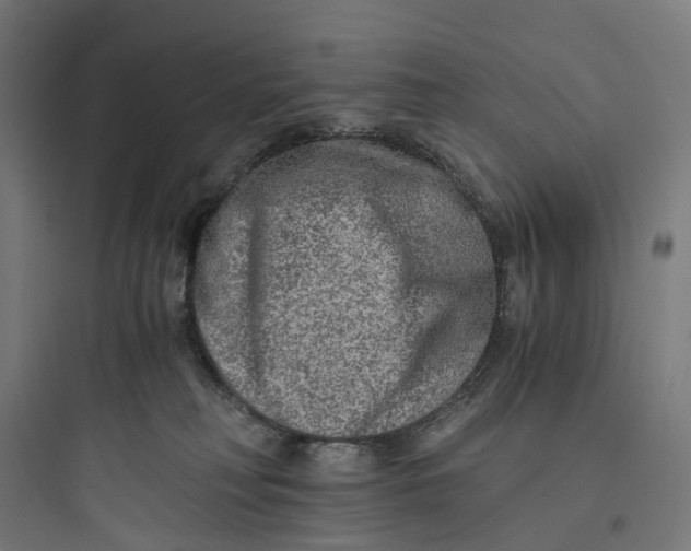 X0000093770230200711061142