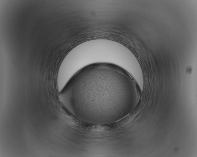 X0000093770235200711061142