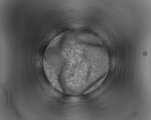 X0000093770236200711061142