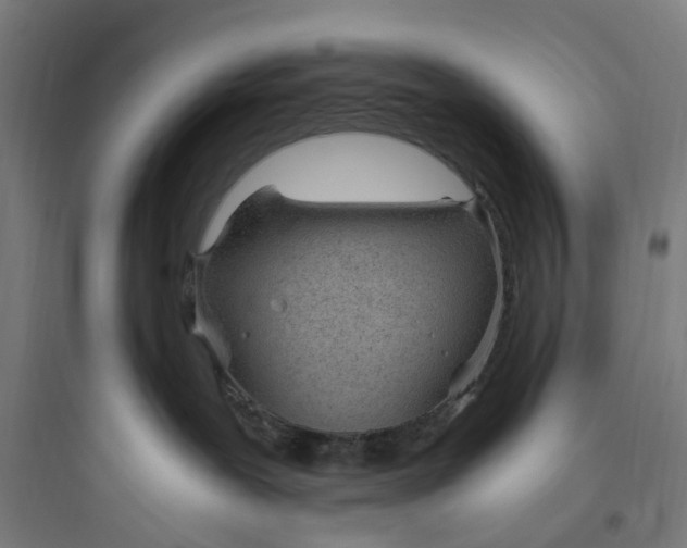 X0000093770239200711061142