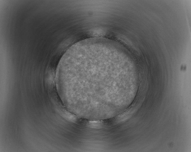 X0000093770240200711061142