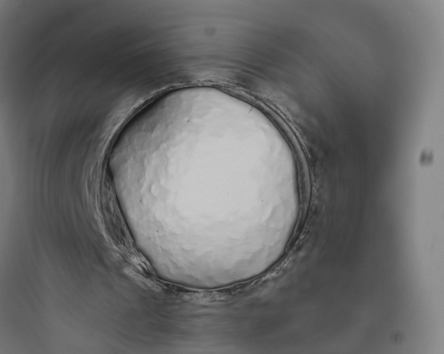 X0000093770241200711061141