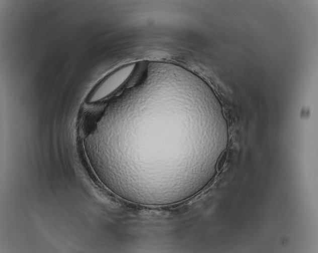 X0000093770242200711061141