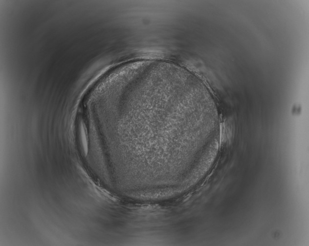 X0000093770243200711061141