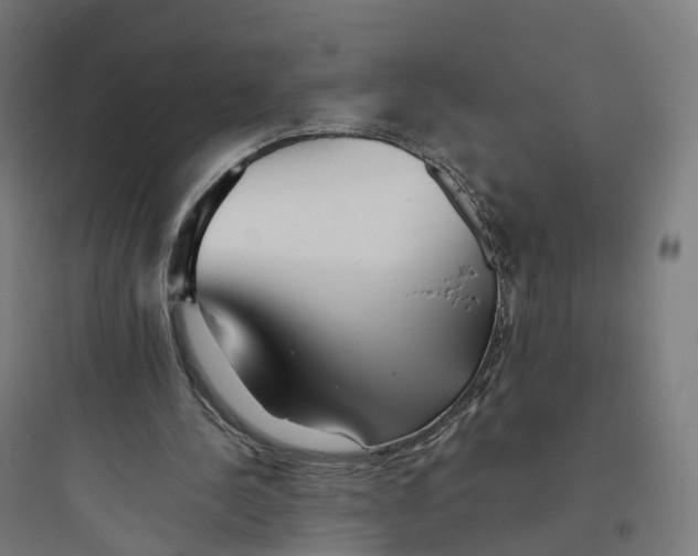 X0000093770244200711061141