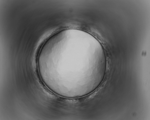 X0000093770245200711061141