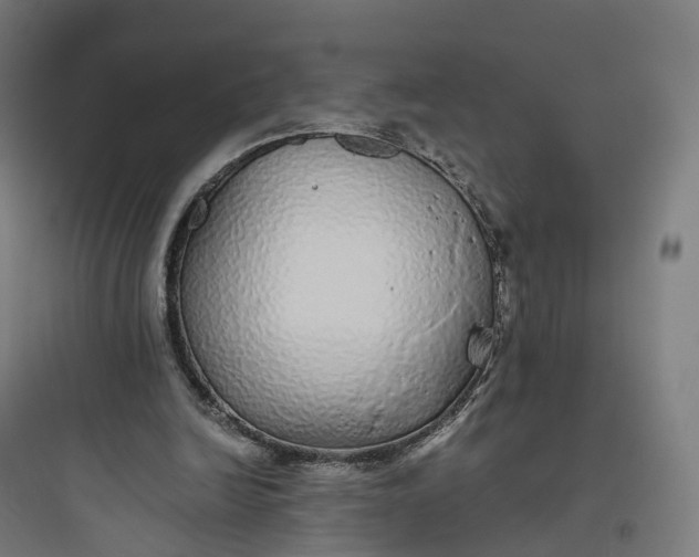 X0000093770246200711061141