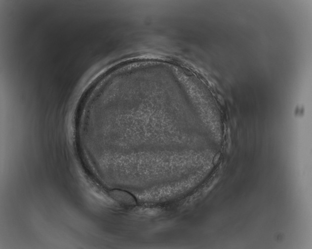 X0000093770247200711061141