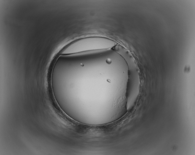 X0000093770248200711061141