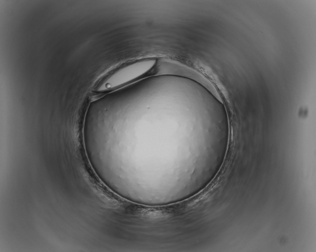 X0000093770249200711061141