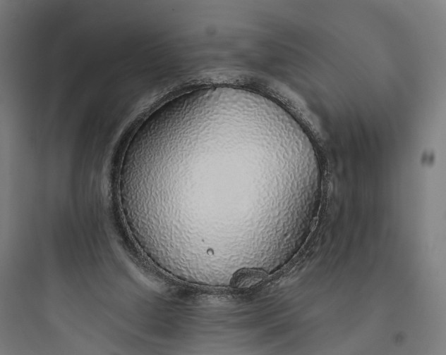 X0000093770250200711061141