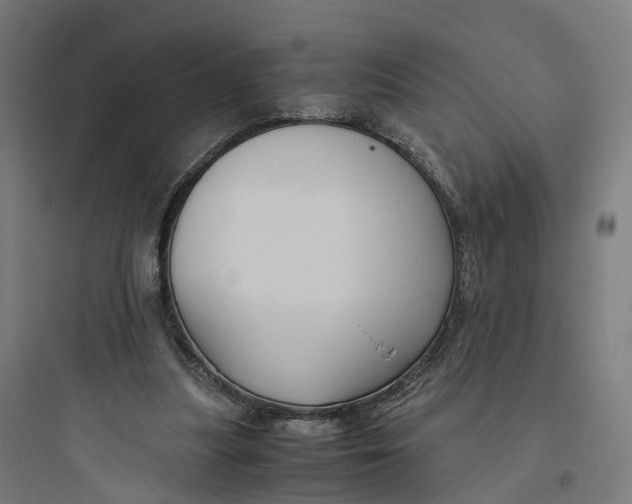 X0000093770251200711061141