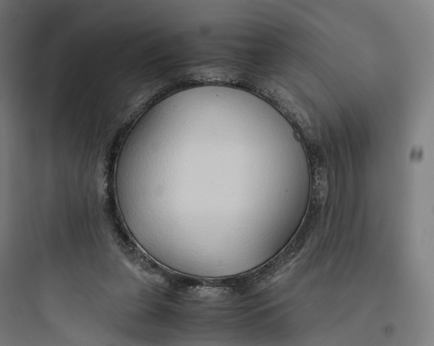 X0000093770255200711061141