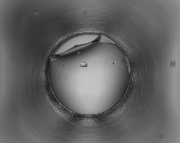 X0000093770256200711061141