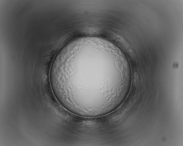 X0000093770259200711061141