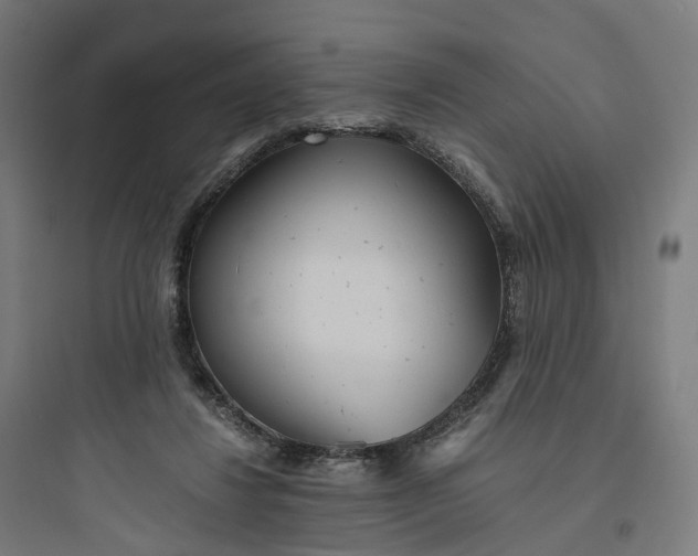 X0000093770260200711061141