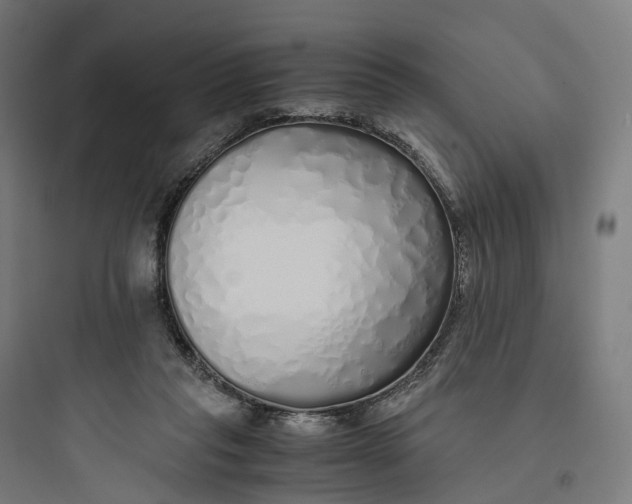 X0000093770261200711061141