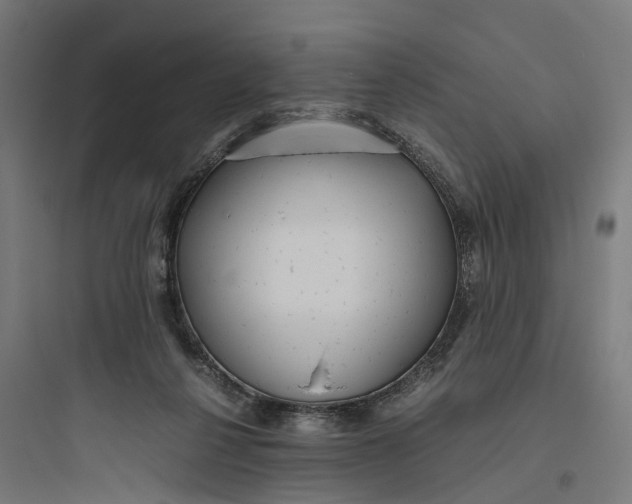 X0000093770264200711061141