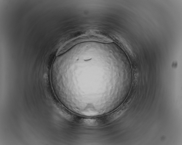 X0000093770265200711061141