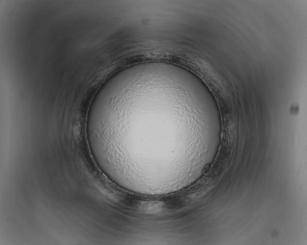 X0000093770266200711061141