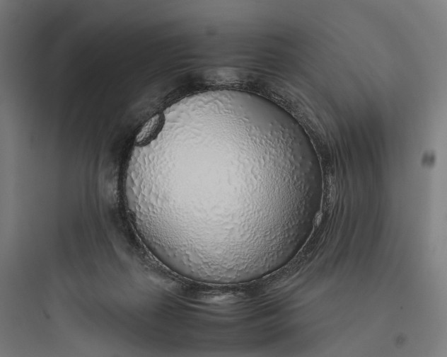 X0000093770267200711061141