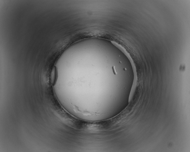 X0000093770268200711061141