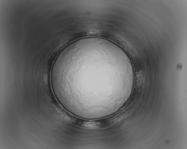 X0000093770269200711061141