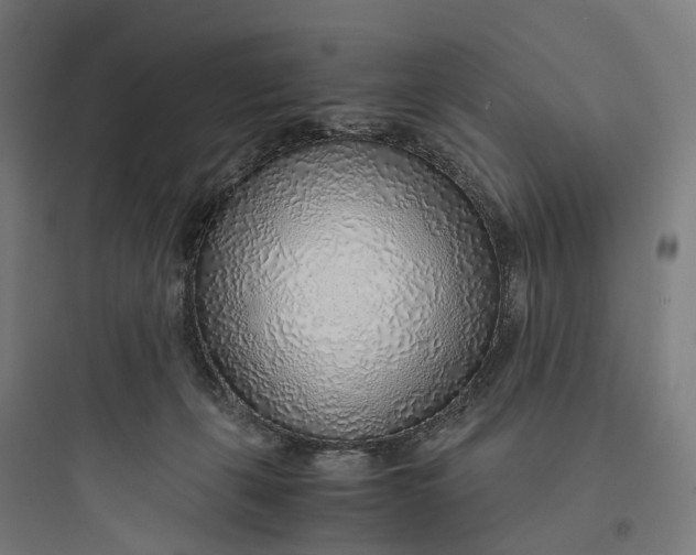 X0000093770271200711061141