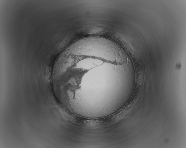 X0000093770273200711061141