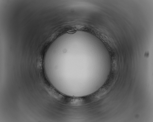 X0000093770274200711061141