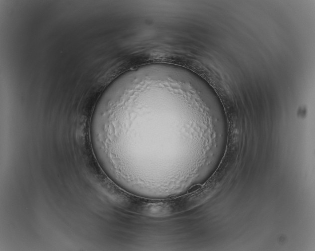 X0000093770275200711061141