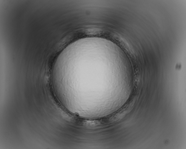 X0000093770277200711061141