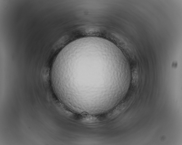 X0000093770278200711061141