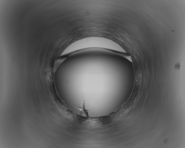 X0000093770280200711061142