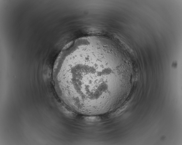 X0000093770281200711061142