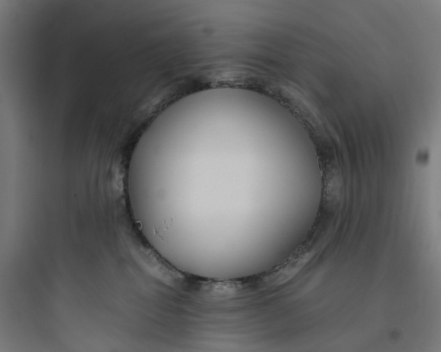 X0000093770282200711061142